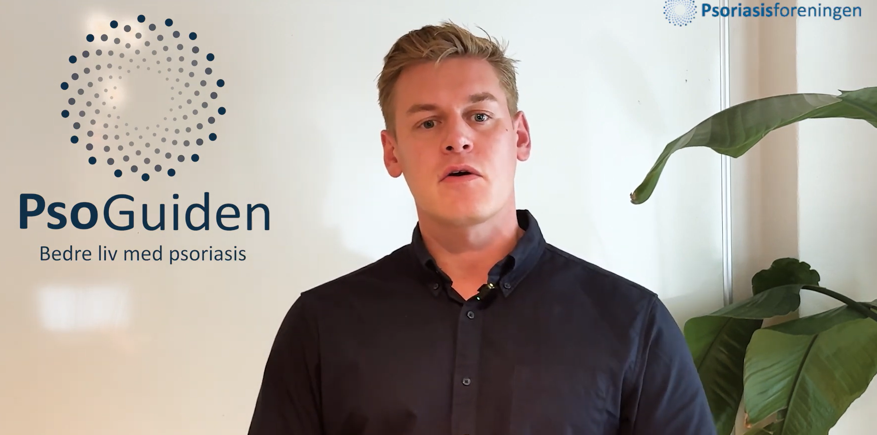 Sådan kan guiden hjælpe dig